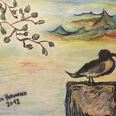 Mowe Im Lindauer Hafen